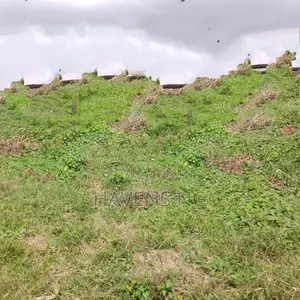 Prime 1 Plot of Land for Sale – Oroazi, Port Harcourt