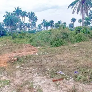 9.5 Plots of Land With Excellent Frontage