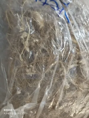 Nettle Root