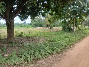 Plot of Land at Alatori After Olude