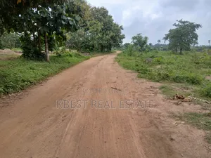 Plot of Land at Alatori After Olude