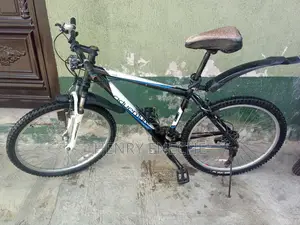 Solid and Durable Bicycle