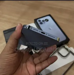 New Apple iPhone 13 Pro Max 256 GB Blue