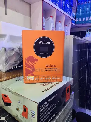 Welion 6.2kva 48v Hybrid Solar Inverter