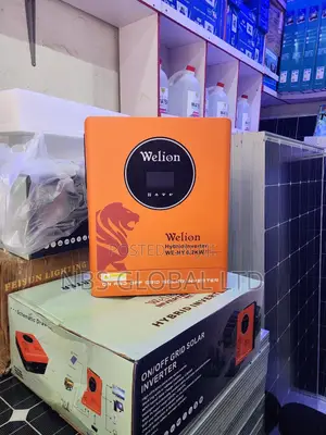 Welion 6.2kva 48v Hybrid Solar Inverter