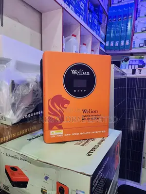 Welion 6.2kva By 48v Hybrid Solar Inverter