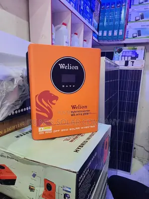 Welion 6.2kva 48v Hybrid Solar Inverter