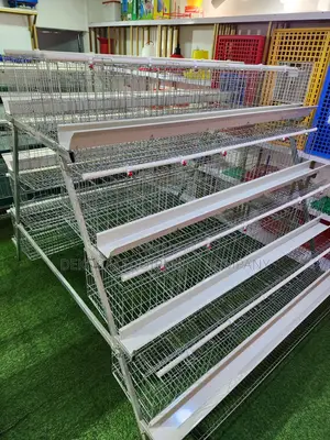 160 Birds Hot Dip Imported Cage For Poultry Farmers