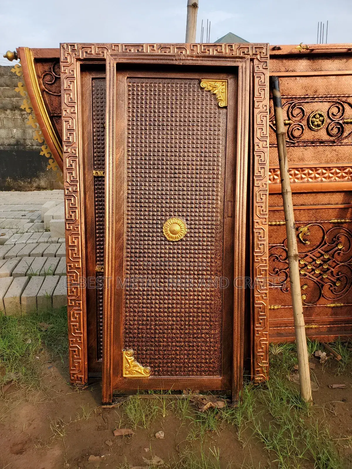 An Exotic Design Single Panel Door