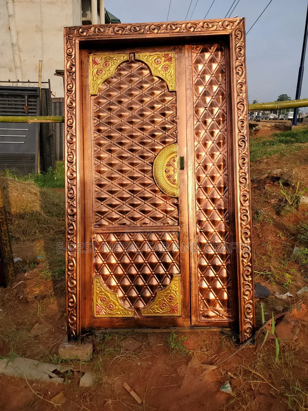 Exotic and Outstanding Design Panel Front Doors
