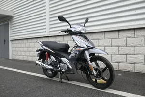 New Daylong DL110-70 2024 Silver