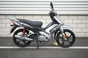 New Daylong DL110-70 2024 Silver