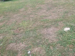 Photo - 1668sqm Land for Sale at Guzape 2 at a Very Strategic Area