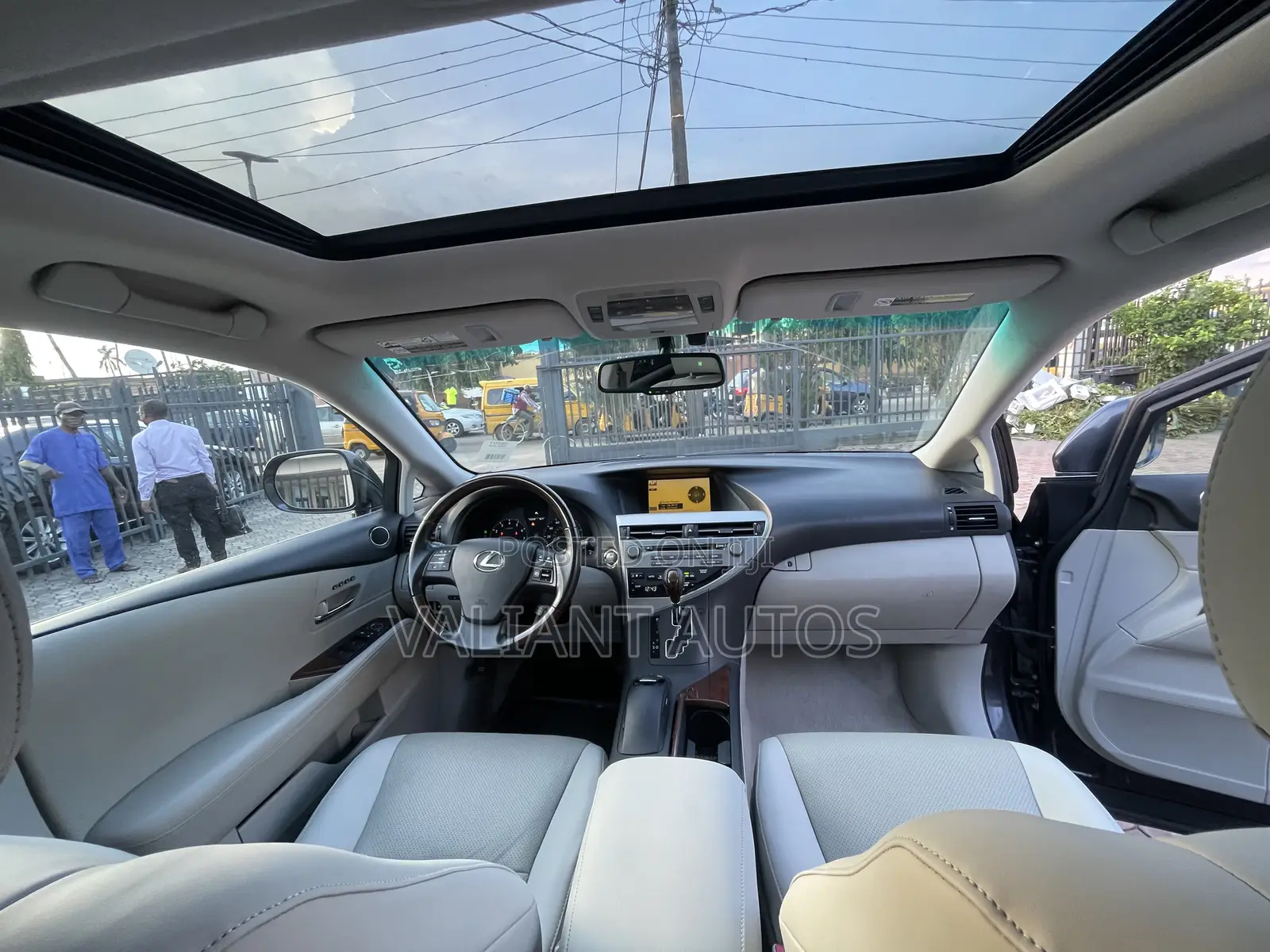 Lexus RX 2010 Gray