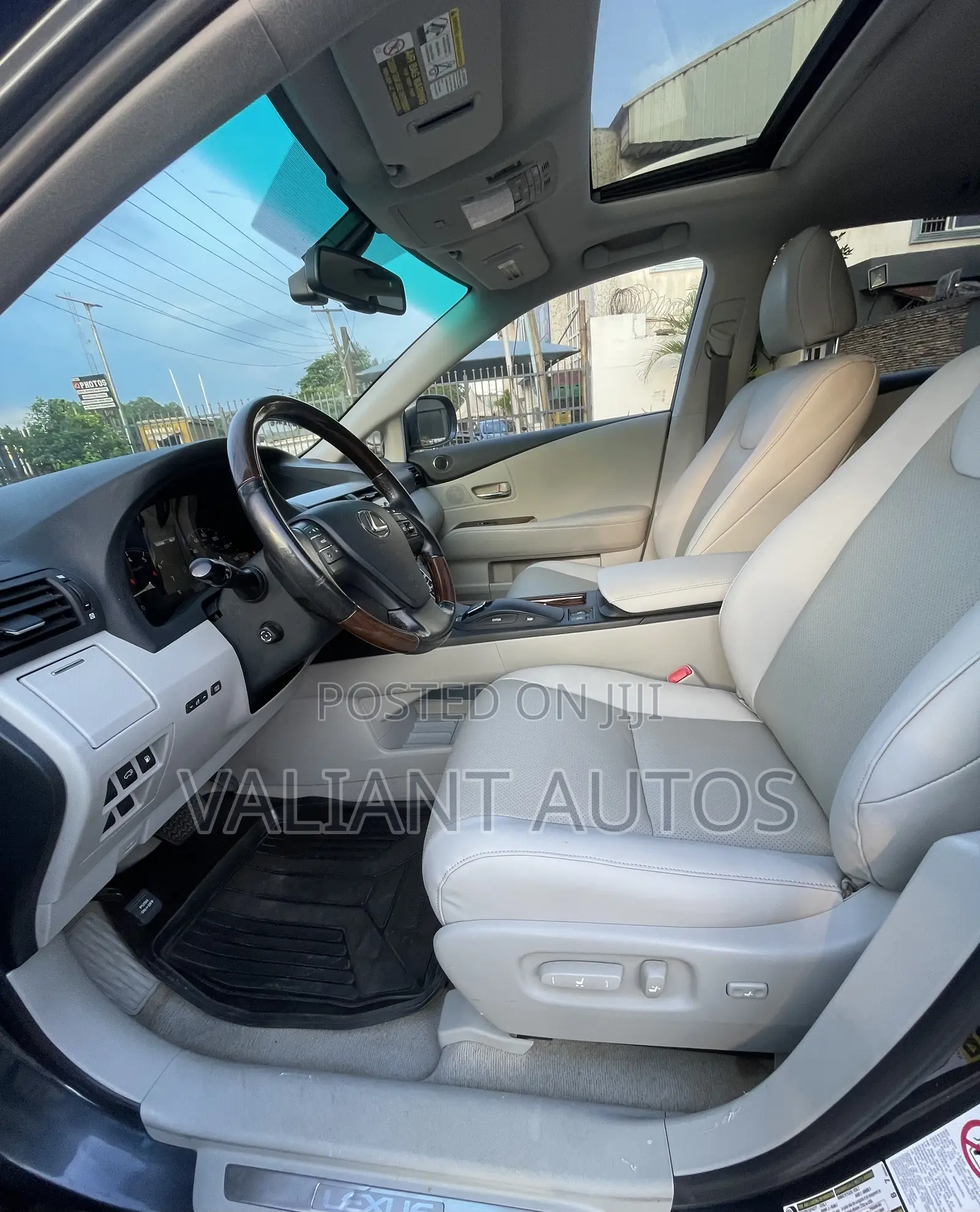 Lexus RX 2010 Gray