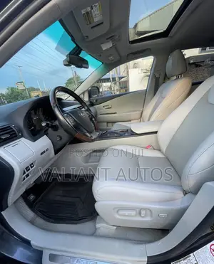 Lexus RX 2010 Gray