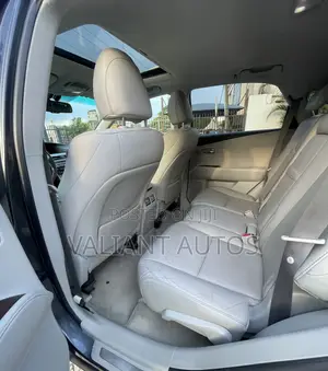 Lexus RX 2010 Gray