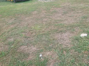 Photo - 3074sqm Land for Sale at Maitama 2 at a Very Strategic Area