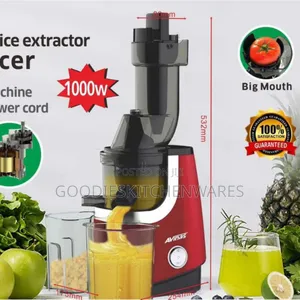Avinas Slow Juicer Small Mouth