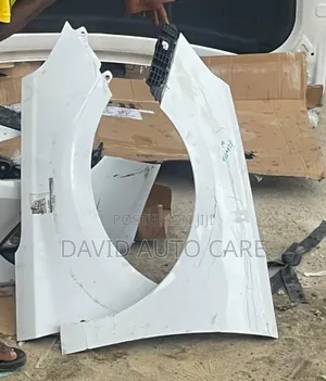 Hyundai Elentra Gt 2018 Fender