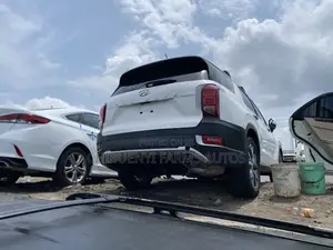 Hyundai Palisade 2021 White