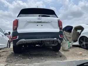 Hyundai Palisade 2021 White