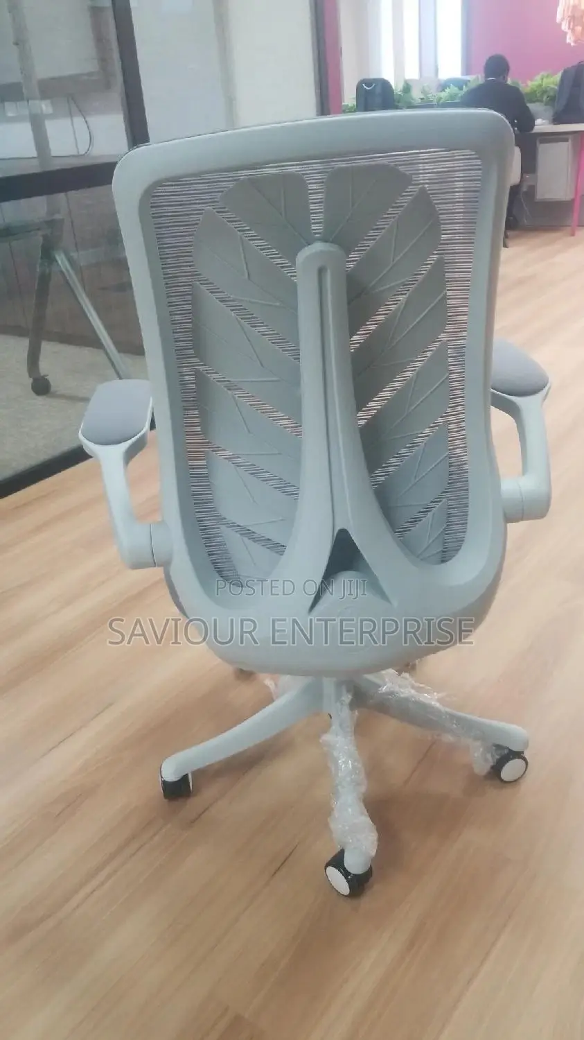 Ergonomic Office Chair