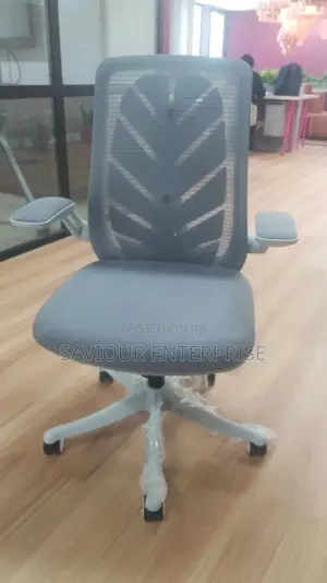Ergonomic Office Chair