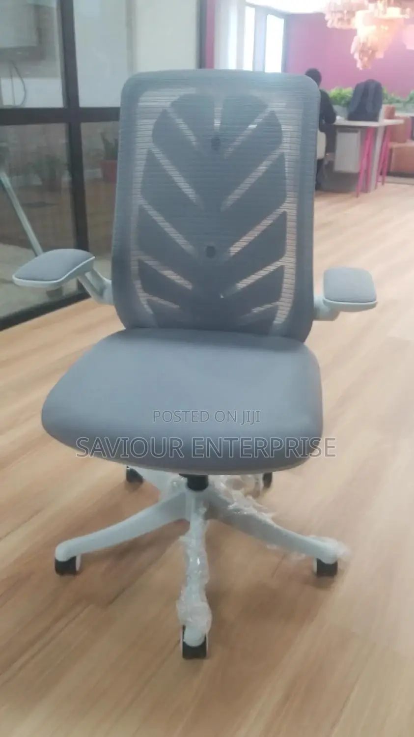 Ergonomic Office Chair