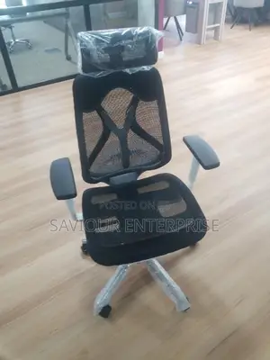 Ergonomic Executive Office Chair