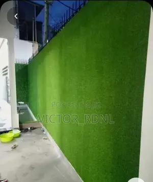 Beautiful Wall Carpet Artificial Grass