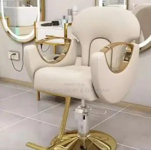 Smart Saloon Chair