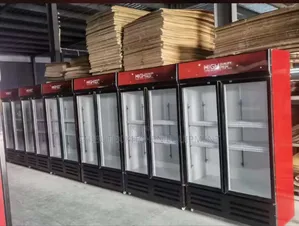 Industrial Supermarket Display Chiller 2door