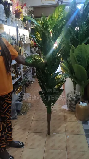 Quality, Beauti Flowers