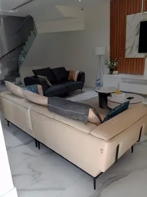 Sofa/Couch Professional Cleaners