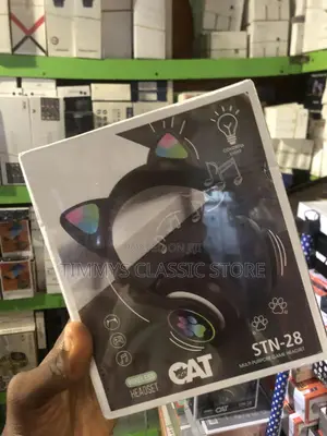 Wireless Headphone