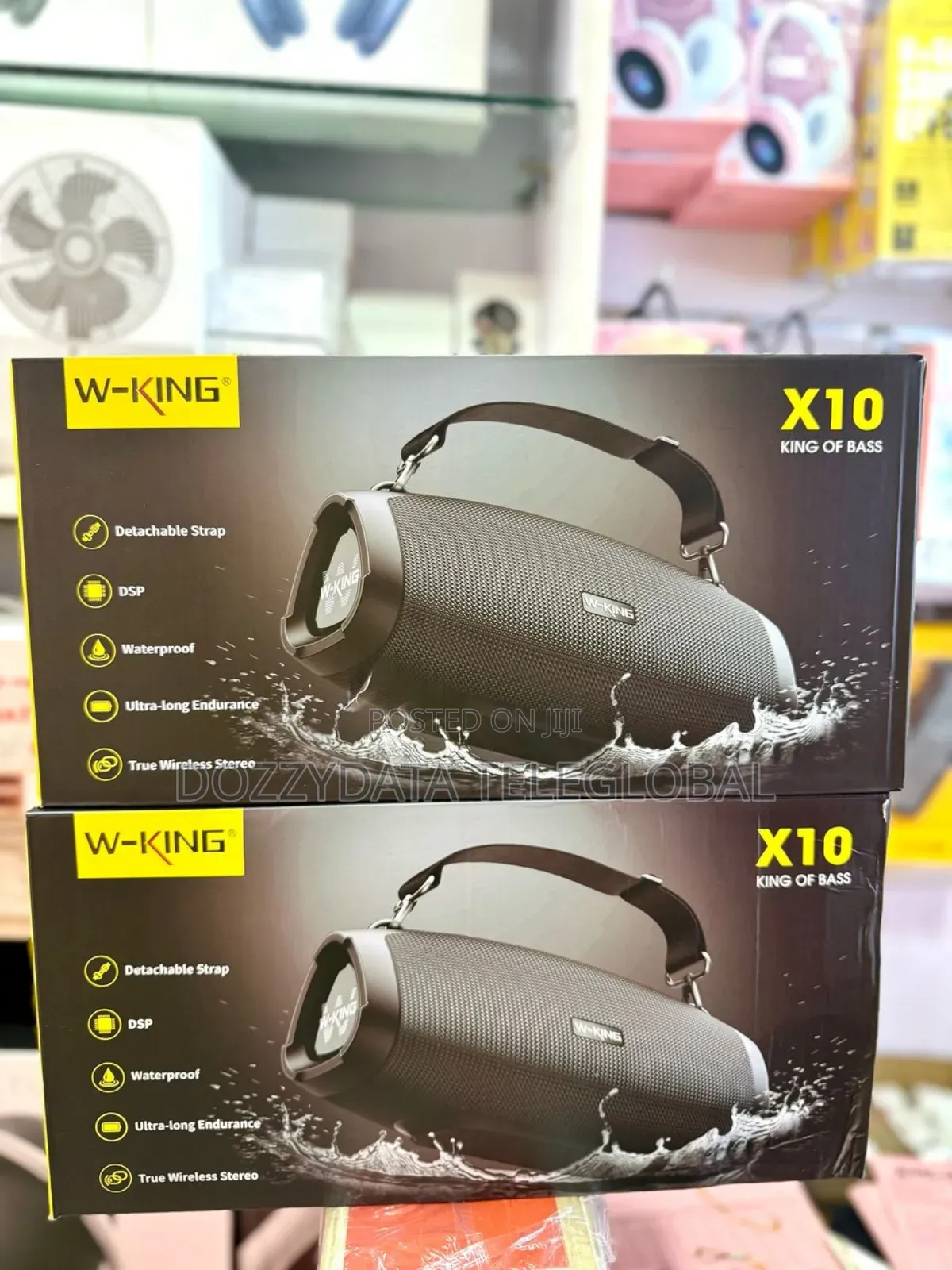 Wking X10 Wireless Bluetooth Speaker