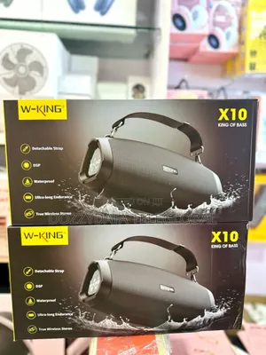 Wking X10 Wireless Bluetooth Speaker