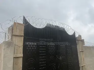 Security Razor Barb Wire Against Burglar or Theft