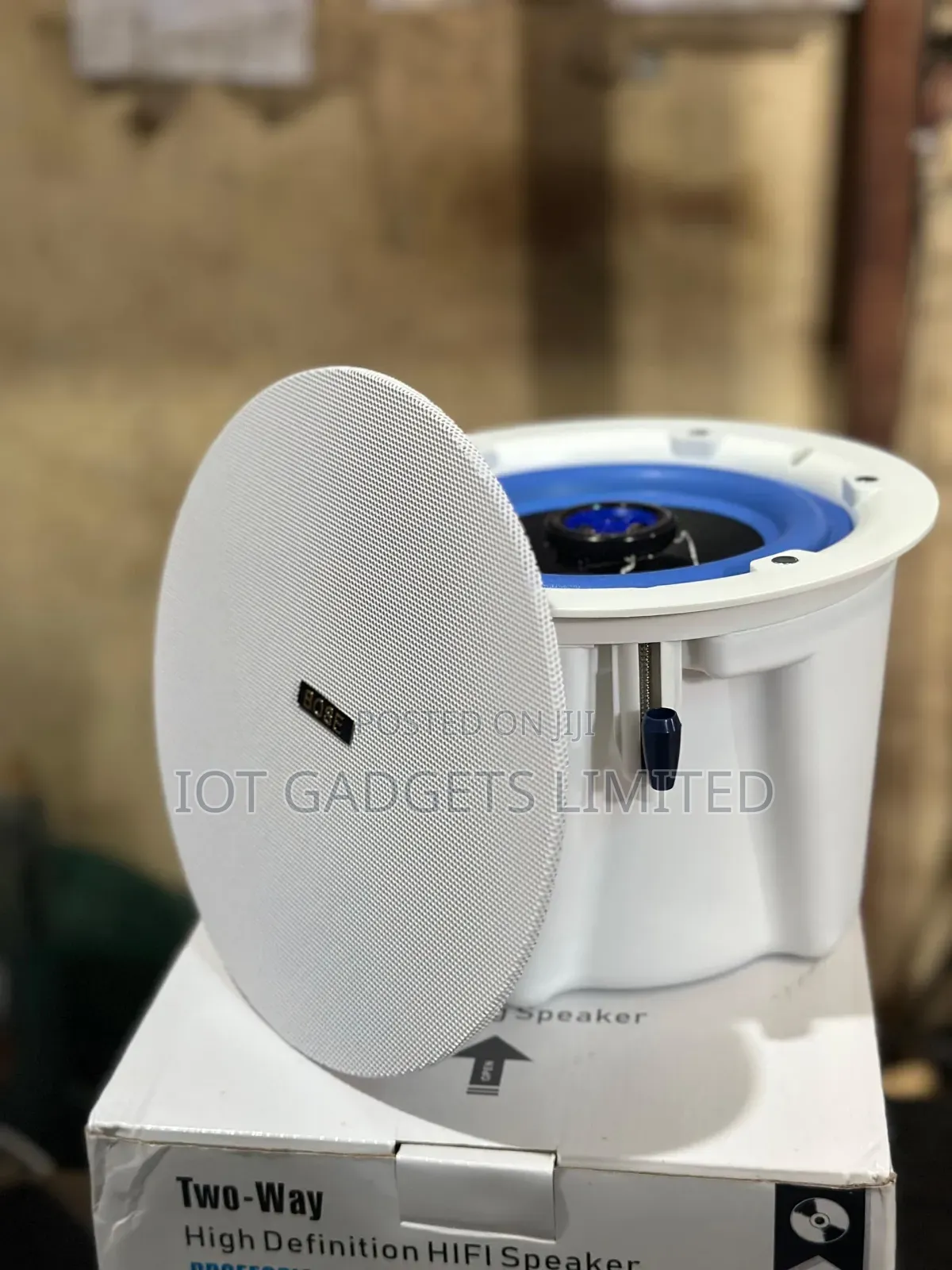 Bose Ceiling Speaker