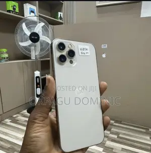Apple iPhone 12 Pro Max 256 GB White