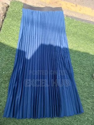 Photo - Pleated Skirt Blue New