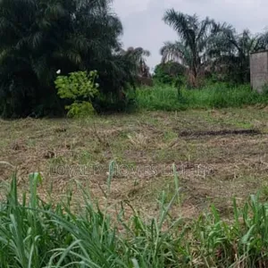 An Empty Land Measuring 620sqm