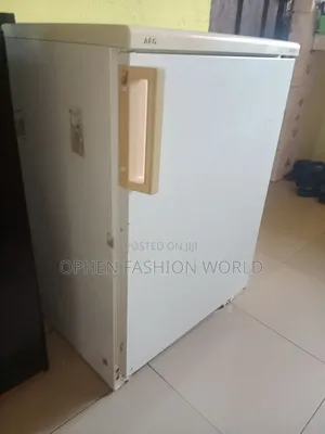 Photo - Standing Freezer