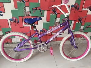 Children's Bicycle Size 20 for Age 7 to 10, Purple Huffy