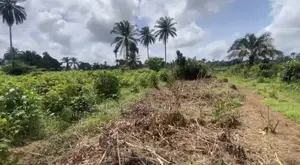 Photo - Land for Sale at Shelter Extension
