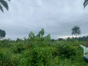 Photo - Land for Sale