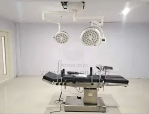 Electronic Delivery Bed