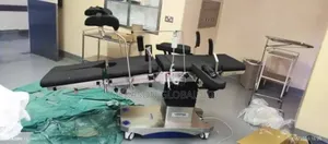 Electronic Delivery Bed