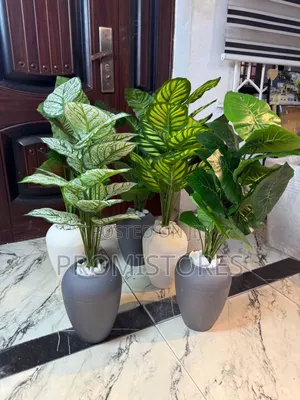 Oval Potted Plant With Stone 82cm